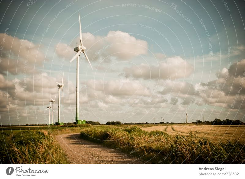 Nordfriesland Energiewirtschaft Erneuerbare Energie Windkraftanlage Umwelt Natur Landschaft Himmel Wolken Sommer Klima Schönes Wetter Wiese Feld Wege & Pfade