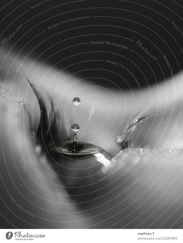 surreales Schwarz-Weiß-Foto eines Wassertropfens in einem Auge, Photoshop-Montage abstrakt Sinnestäuschung Augentropfen schwarz auf weiß Gefühle Fokus blind
