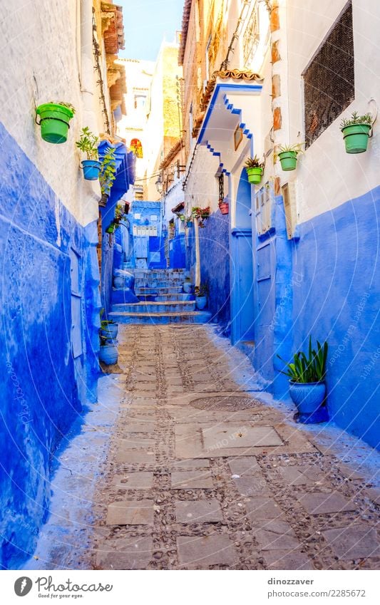 Blaue Straße in Chefchaouen, Marokko Topf Ferien & Urlaub & Reisen Tourismus Berge u. Gebirge Haus Kultur Pflanze Blume Dorf Stadt Gebäude Architektur Treppe