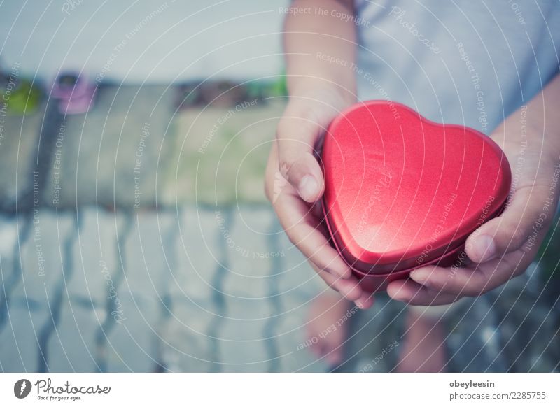 Hand, die ein rotes Herz, Valentinstagliebe hält Leben Mensch Frau Erwachsene Mutter Großmutter alt Liebe Zusammensein schwarz Leidenschaft Mitgefühl