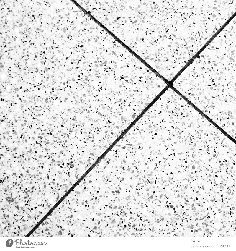 Knutschende Fische Stein Beton Kreuz Linie hell Einsamkeit Genauigkeit Ordnung Symmetrie Betonplatte Fuge Furche scheckig Boden Bodenbelag Bodenplatten Kreuzung