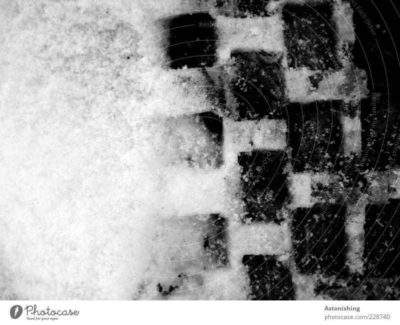 kariert Umwelt Natur Winter Eis Frost Schnee Wege & Pfade kalt grau schwarz weiß Quadrat eckig Kontrast Verlauf Boden Pflastersteine Vogelperspektive