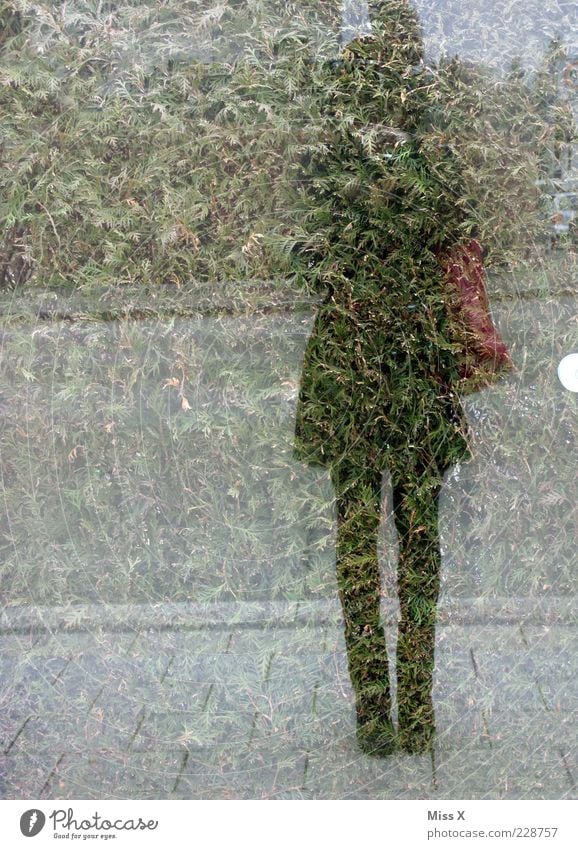 Mirroring Mensch Junge Frau Jugendliche 1 18-30 Jahre Erwachsene Fenster außergewöhnlich Spiegelbild Fotografieren Selbstportrait Fensterscheibe Glasscheibe