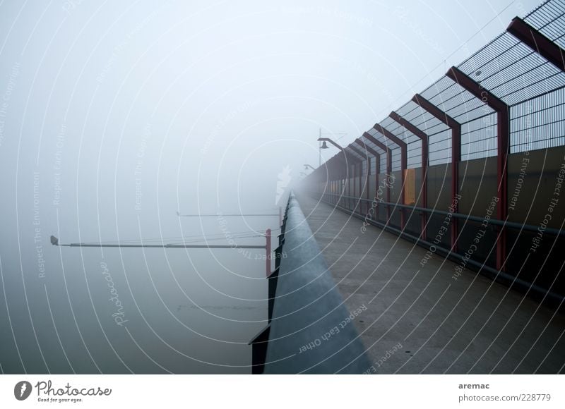 Neckarbrückenblues Winter Wetter schlechtes Wetter Nebel Fluss Menschenleer Brücke Bauwerk Architektur Wege & Pfade dunkel grau ruhig Neugier Zukunftsangst