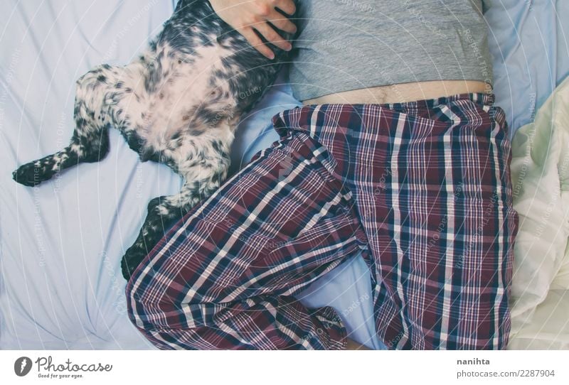 Mann und Hundebäuche Lifestyle Stil Wellness Wohlgefühl Erholung Haus Bett Schlafzimmer Mensch maskulin Erwachsene Leben Bauch 1 30-45 Jahre Nachthemd Tier