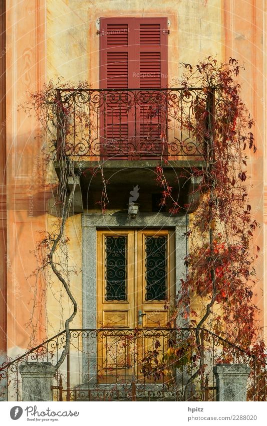Herbstfassade Schönes Wetter Mauer Wand Fassade Balkon Ornament alt leuchten dehydrieren Freundlichkeit Glück Kitsch Wärme braun gelb orange rosa Stimmung