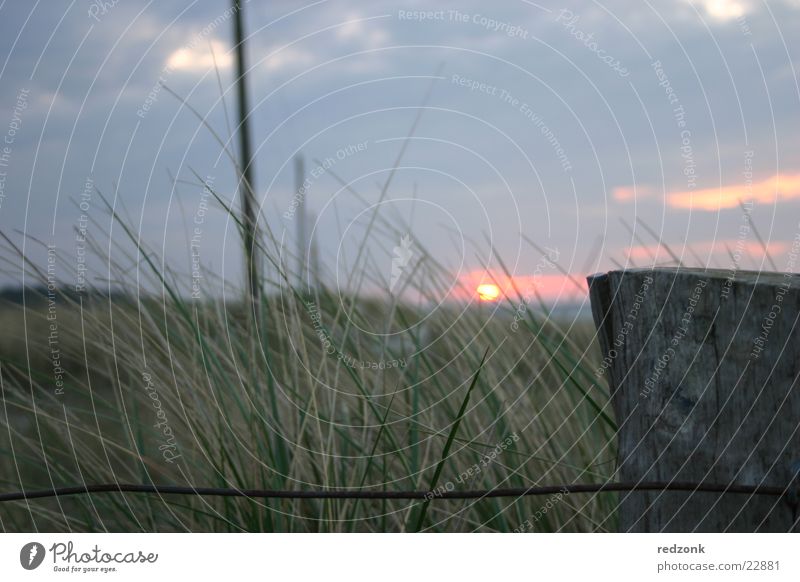 Dünen im Abendrot I Sonnenuntergang Zaun Wiese Gras Hügel Meer Wolken Stranddüne Strommast