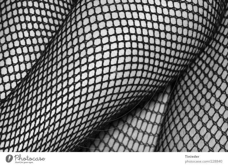 Netzbestrumpfte Damenbeine feminin Frau Erwachsene Bekleidung Strumpfhose schwarz Design Mode Netzstrümpfe Oberschenkel Detailaufnahme Schatten Haut Beine
