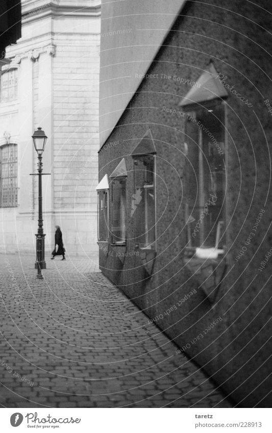 Besuch der alten Dame 1 Mensch 45-60 Jahre Erwachsene Aachen Stadtzentrum Altstadt Mauer Wand ästhetisch Einsamkeit elegant Ende Pflastersteine Gasse