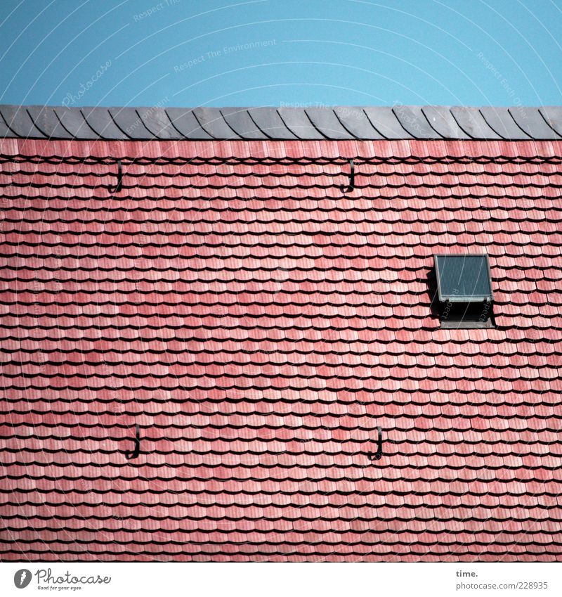 Oberstübchen Himmel Dach rot Schutz Ordnung Dachziegel Ziegeldach Dachfenster Luke Leiterhaken einzeln Farbfoto mehrfarbig Außenaufnahme Muster