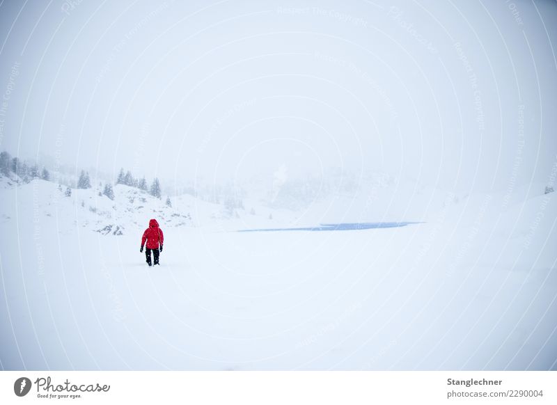 Winterwanderung Gesundheit Gesundheitswesen Kur Sport Joggen Landschaft See Bewegung laufen blau Gefühle Fröhlichkeit Körbersee wandern Schnee Schneefall