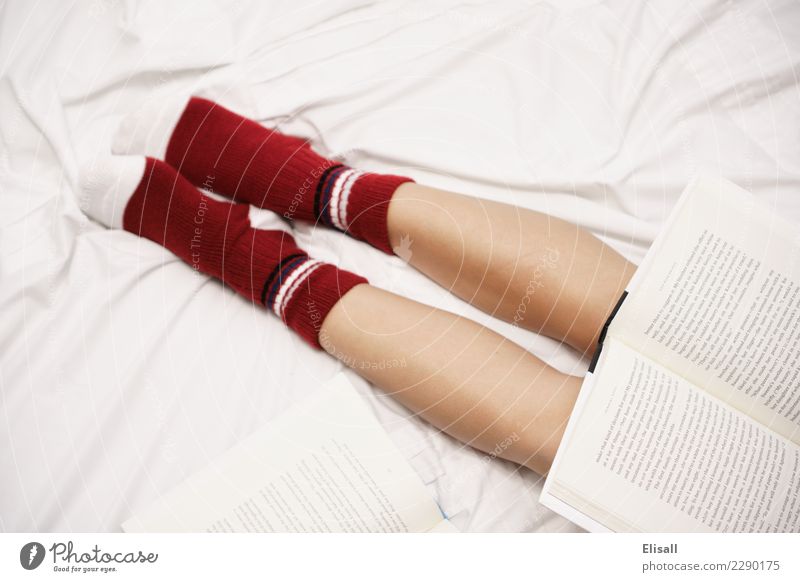 Gemütlich Lifestyle Freizeit & Hobby lesen Bett lernen heimwärts Erholung Buch Bettlaken Kniestrümpfe rot gemütlich Wärme Schüler Beine bequem Geborgenheit