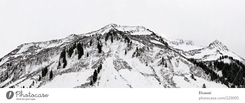 WHITE OUT Winter Schnee Berge u. Gebirge Skigebiet Landschaft Himmel schlechtes Wetter Nebel Alpen Vorarlberg schwarz weiß Farbfoto Schwarzweißfoto