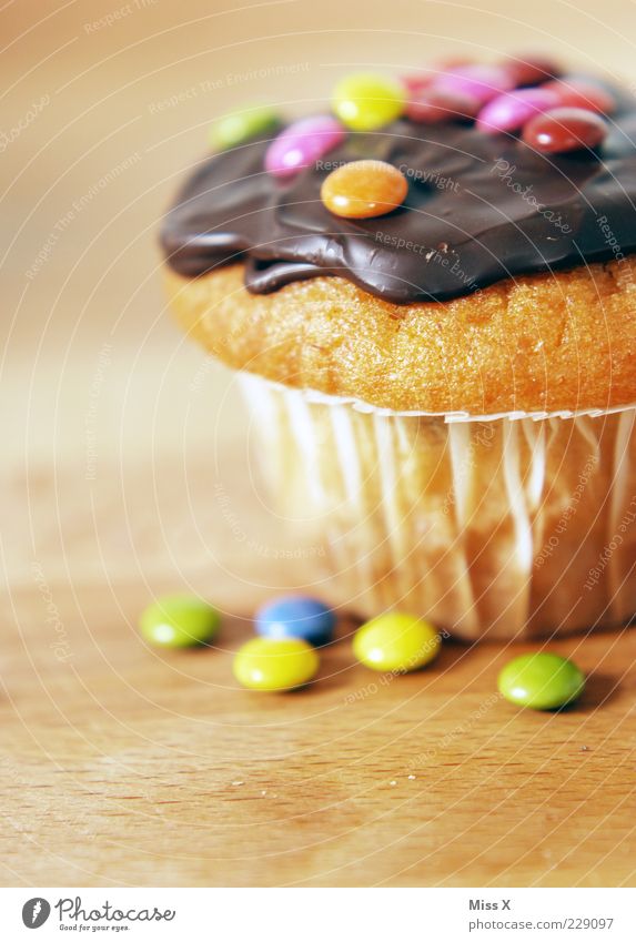 Muffin Lebensmittel Kuchen Süßwaren Schokolade Ernährung Duft klein lecker süß Schokolinsen Kuvertüre Fett ungesund Foodfotografie Farbfoto Nahaufnahme