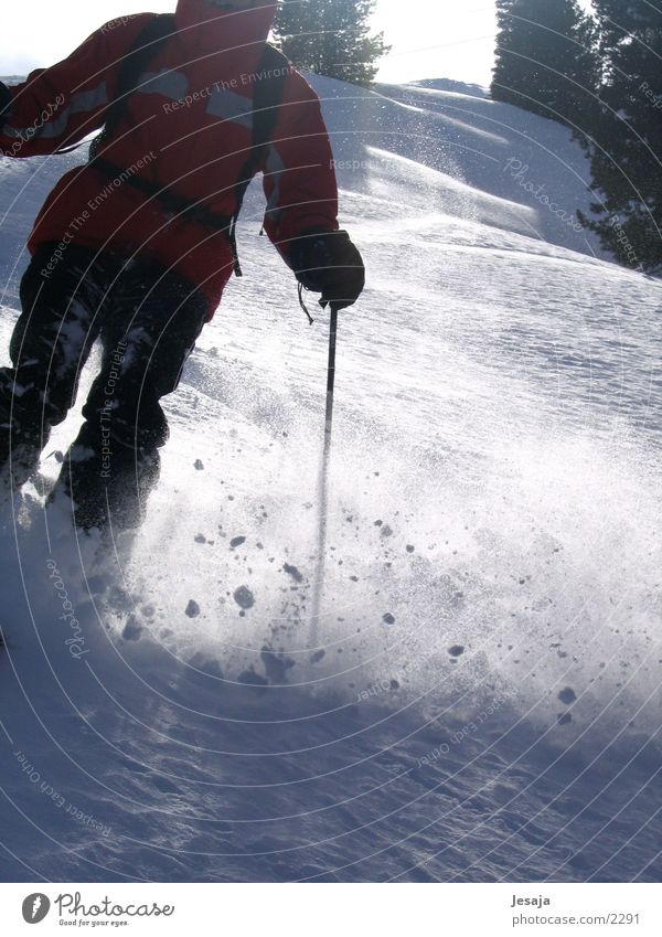 Tiefschnee Skifahren Sport Skipiste Dynamik Pow Wow Abfahrt Skifahrer 1 Außenaufnahme Farbfoto Winterurlaub