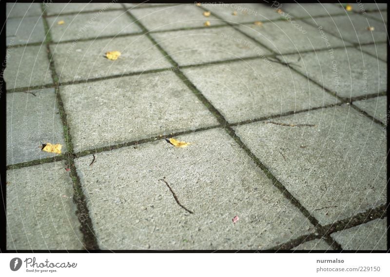 hartes Quadrat Umwelt Klima Menschenleer Platz Bürgersteig Bodenplatten Zeichen liegen eckig Klischee trashig trist Design skurril Surrealismus Symmetrie Beton