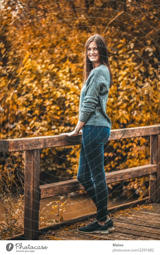 Herbstrhapsodie Porträt Junge Frau Photo-Shooting Brücke gelb rot attraktiv schön Glück Haare & Frisuren Model Mensch Mädchen Natur Romantik Lächeln Stil Blatt