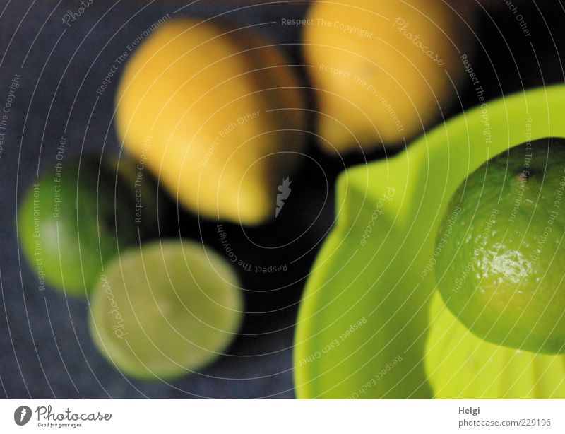 sauer macht lustig... Lebensmittel Frucht Zitrone Limone Limonenschale Ernährung Vegetarische Ernährung Saft Zitruspresse Duft liegen einfach frisch Gesundheit