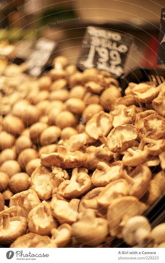 Beige im Angebot Lebensmittel Pilz Kartoffeln Ernährung Bioprodukte Vegetarische Ernährung Markt Marktstand Markttag Preisschild beige Farbfoto Innenaufnahme