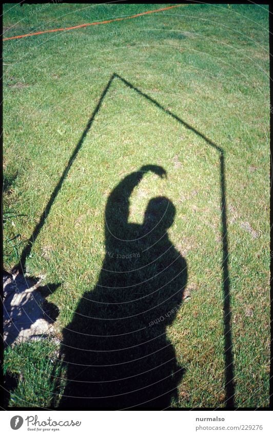 im kasten Umwelt Pflanze Gras Bewegung Mensch Silhouette Farbfoto Experiment Lomografie Licht Schatten Kontrast Rasen Sonnenlicht Textfreiraum oben