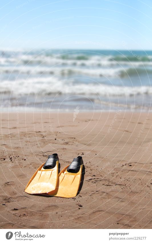 ein taucher der nicht taucht, taucht nichts Freizeit & Hobby Sommer Sommerurlaub Sonne Strand Meer Wassersport Sand Horizont Wellen mehrfarbig Außenaufnahme