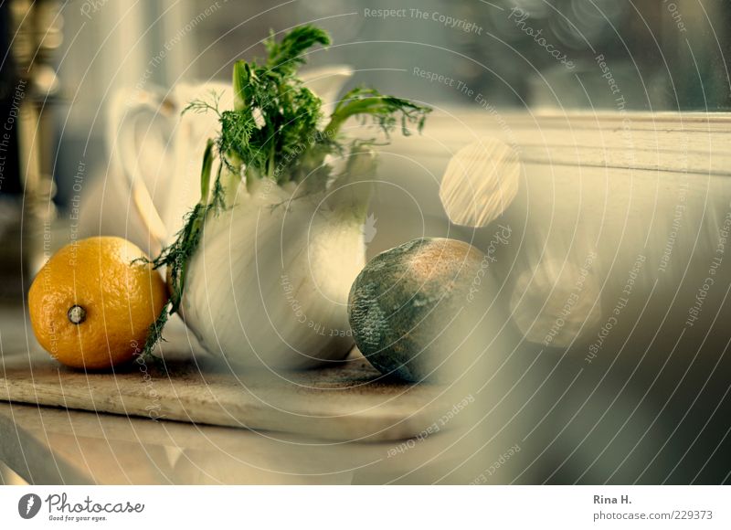 KüchenStill Gemüse Frucht natürlich Vergänglichkeit Zitrone Fenchel Fensterbrett verdorben Farbfoto Innenaufnahme Reflexion & Spiegelung Schwache Tiefenschärfe
