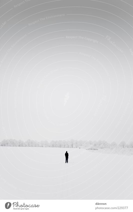 Einsam. Ausflug Abenteuer Winter Schnee Winterurlaub Mensch 1 Natur Landschaft Horizont Wetter Europa groß Unendlichkeit kalt grau weiß ruhig Angst Einsamkeit