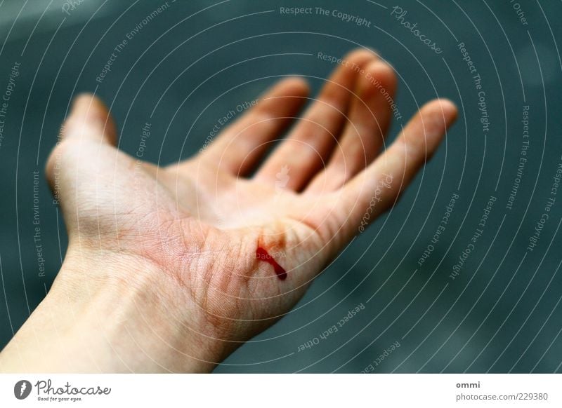 Fleischwunde Haut Hand authentisch einfach grau rot Schmerz Blut Wunde Finger Handfläche Unfall AIDS Farbfoto Außenaufnahme Nahaufnahme Detailaufnahme Tag