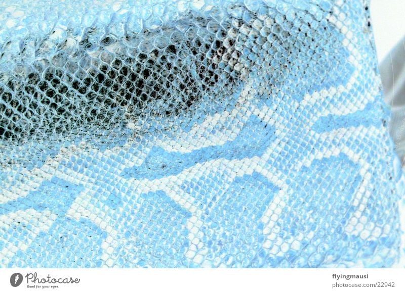 Schlange Schlangenleder Handtasche Muster negativ Tier Kunst Kunsthandwerk obskur Snake Haut
