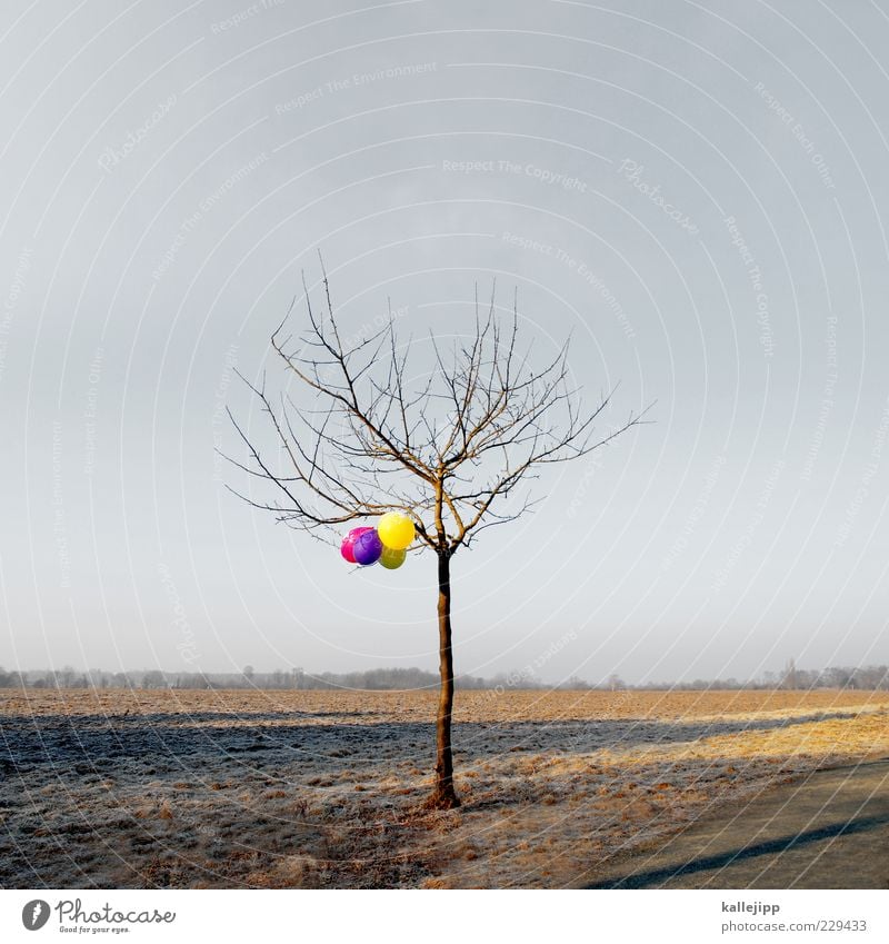 frühlingsanfang Umwelt Natur Landschaft Horizont Winter Baum Feld hängen schön Luftballon Farbfoto mehrfarbig Außenaufnahme Licht Schatten Kontrast Zufall
