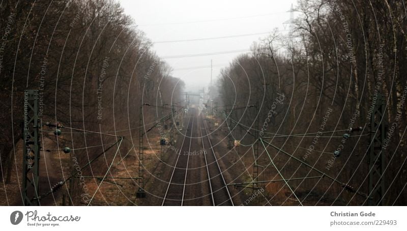 Von Wattenscheid in die Welt Menschenleer Schienenverkehr Eisenbahn Gleise Schienennetz braun Hochspannungsleitung Baum Zentralperspektive Außenaufnahme
