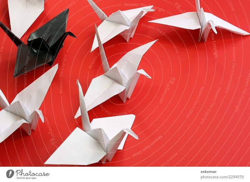 Chef Freizeit & Hobby Basteln Origami falten Tier Vogel Kranich Tiergruppe Schwarm Papier Zeichen Zusammensein nah oben viele rot schwarz weiß Partnerschaft