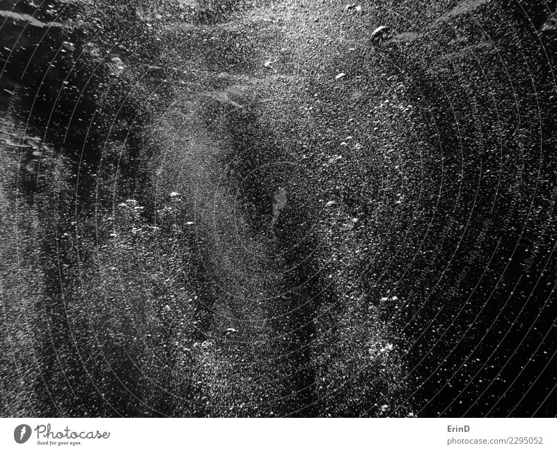 Schwarzweiss-Wand der Luftblasen unter Wasser Freude schön Erholung Abenteuer Meer Tapete Sport Natur atmen einzigartig nass grau schwarz weiß Tauchgerät