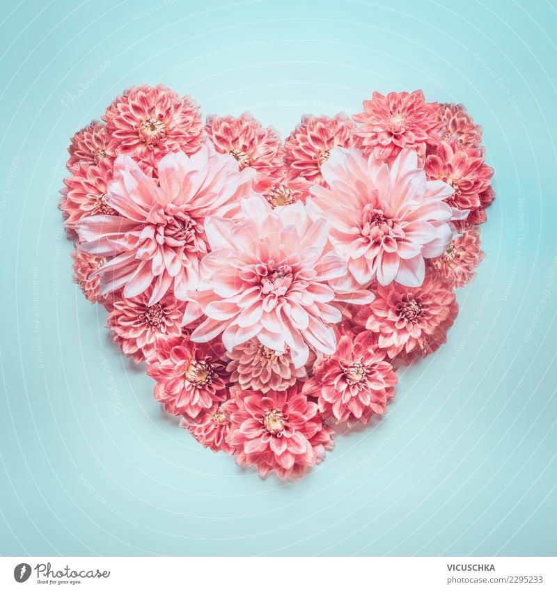 Herz aus rosa Blumen Stil Design Sommer Feste & Feiern Valentinstag Muttertag Hochzeit Geburtstag Pflanze Rose Blüte Dekoration & Verzierung Blumenstrauß