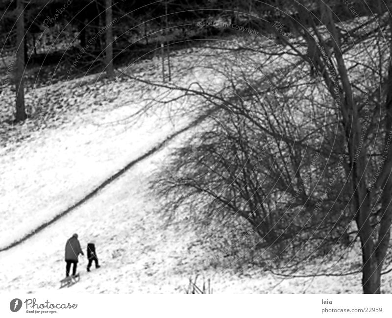 sleigh ride Nostalgie Winter Europa Rodelschlitten Schnee Berge u. Gebirge Wege & Pfade
