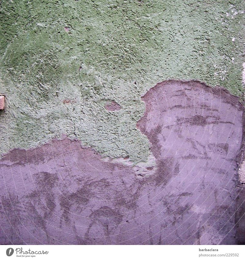 Lila Kuh Handwerk Baustelle Gebäude Mauer Wand Fassade Stein Beton trashig grau violett ästhetisch einzigartig Kreativität skurril Gedeckte Farben Außenaufnahme