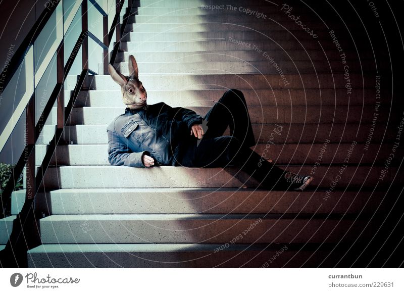 s. präsentierte zum ersten mal... Beton Stil Hase & Kaninchen Maske Treppe Schatten Zigarette Linie Farbfoto Gedeckte Farben mehrfarbig Außenaufnahme Abend