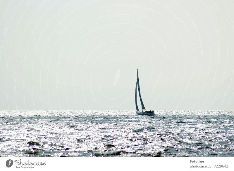 Steuerbord liegt Spiekerook ;-) Umwelt Natur Urelemente Wasser Himmel Wolkenloser Himmel Wellen Nordsee Ostsee Meer Bootsfahrt Segelboot Segelschiff