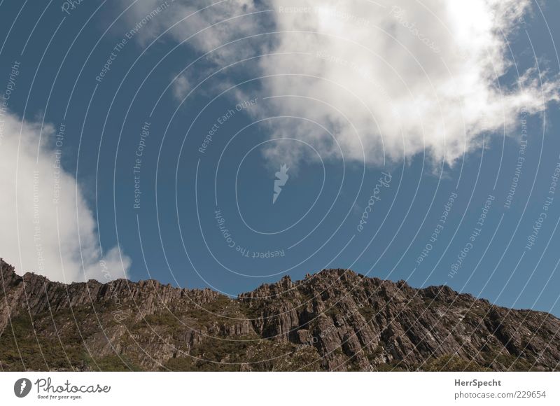 Blick nach oben in Down Under Natur Landschaft Himmel Wolken Sommer Schönes Wetter Felsen Berge u. Gebirge Australien Tasmanien blau grau weiß ästhetisch