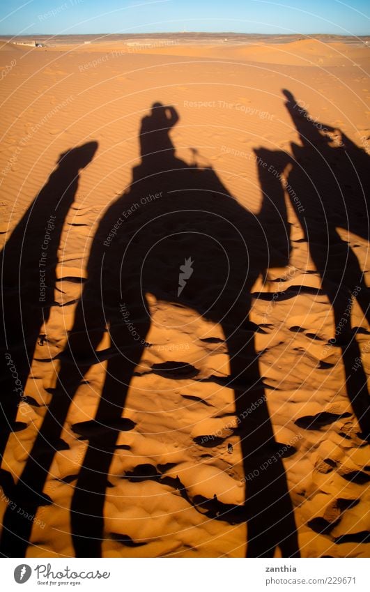 camel ride Sand Wüste exotisch schwarz Abenteuer Bewegung Erfahrung Kultur Mobilität Tourismus Tradition Ferien & Urlaub & Reisen Marokko Kamel Karavane Sahara
