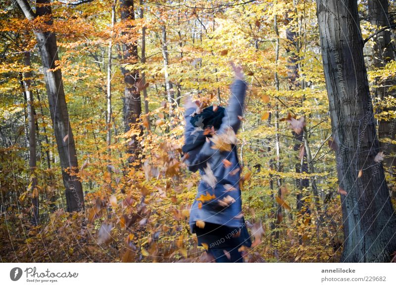 dreh dich! (I) Freizeit & Hobby Spielen Ausflug Freiheit Mensch Junge Frau Jugendliche 1 18-30 Jahre Erwachsene Natur Herbst Blatt Wald drehen Tanzen frei
