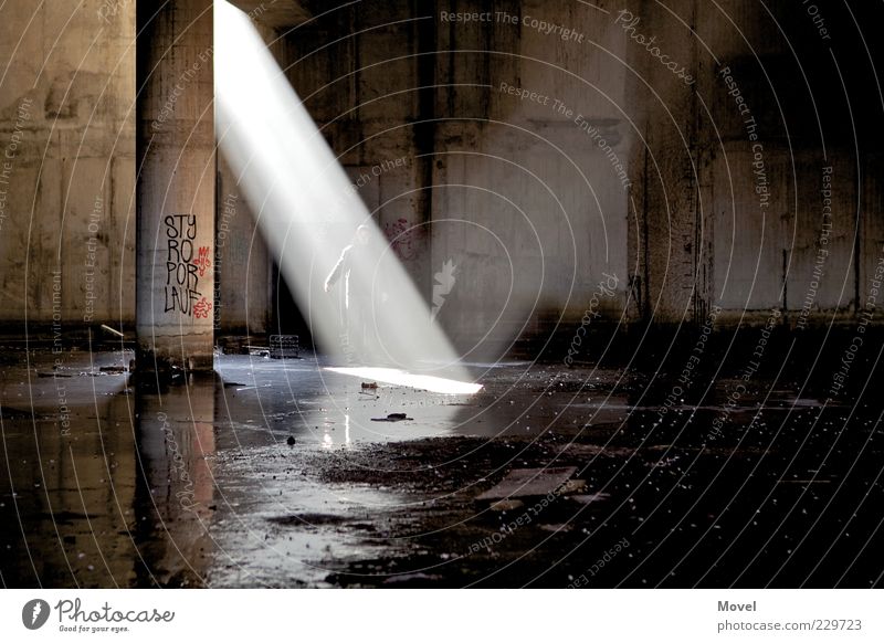 Teleporter Ruine Tunnel Bauwerk Keller Wasser Zeichen Graffiti entdecken leuchten Coolness dunkel Flüssigkeit hell kalt braun gold schwarz Stimmung Neugier