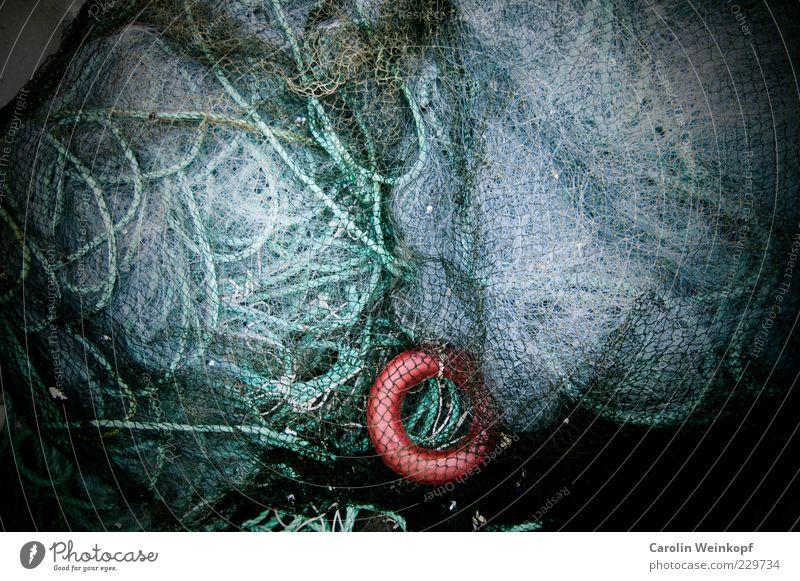 Networking. Fischereiwirtschaft Beruf Fischernetz Knoten Netz chaotisch durcheinander Norwegen Farbfoto abstrakt Strukturen & Formen Menschenleer