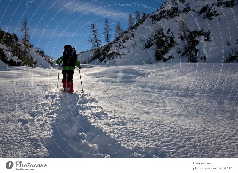 im Lechtal Ausflug Abenteuer Freiheit Winter Schnee Winterurlaub Berge u. Gebirge wandern androgyn 1 Mensch Natur Landschaft Schönes Wetter Alpen Rucksack