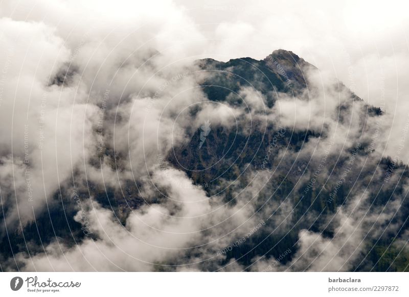 Tohuwabohu | rund um den Berg Ferien & Urlaub & Reisen Urelemente Luft Himmel Wolken Alpen Berge u. Gebirge Allgäuer Alpen Gipfel hoch wild Bewegung Freiheit