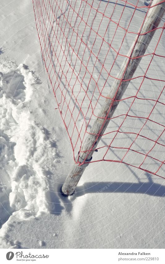 Mein Schnee, Dein Schnee. Winter kalt Zaun Zaunpfahl Spuren Netz netzartig rot Winterstimmung Schneedecke Schlaufe Farbfoto Außenaufnahme Menschenleer Tag