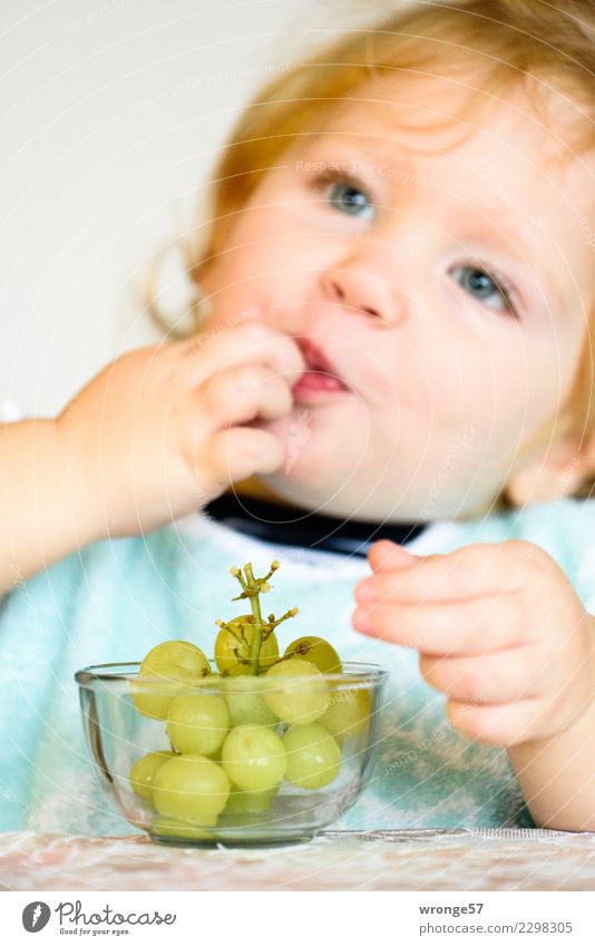 süß und saftig | Weintrauben essendes Kind Lebensmittel Frucht Essen Vegetarische Ernährung Fingerfood Mensch Kleinkind Mädchen 1 1-3 Jahre genießen frisch