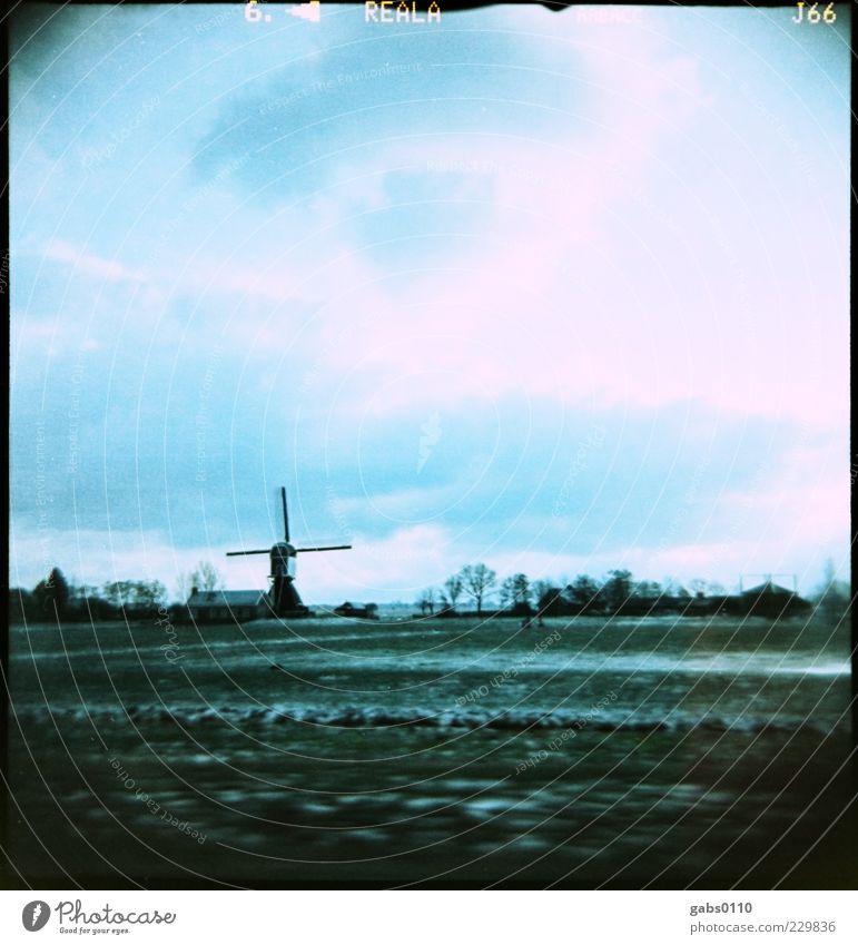kalte Niederlande Winter Schnee Umwelt Pflanze Wasser Himmel Wolken Klima Klimawandel Wetter Baum Gras Feld nachhaltig blau grün schwarz weiß Energie Windmühle