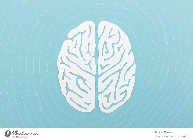 Gehirn-Silhouette als Papierschnitt lernen Kopf Denken ästhetisch rund blau weiß achtsam Bildung Erfahrung innovativ Inspiration Kreativität Leistung Netzwerk