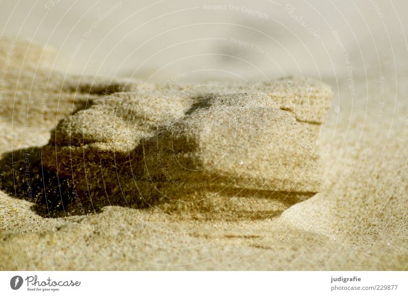 Strandformen Umwelt Natur Landschaft Sand Ostsee Wärme fein Strukturen & Formen Formation Farbfoto Außenaufnahme Menschenleer Tag Licht Schatten körnig